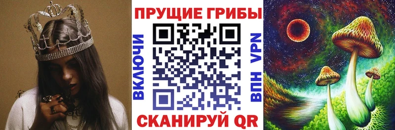 Псилоцибиновые грибы Magic Shrooms  Морозовск 