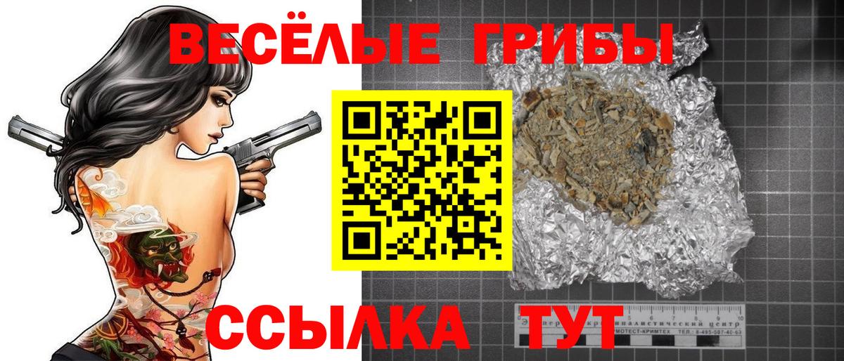 Морозовск  Псилоцибиновые грибы Cubensis  Галлюциногенные грибы Cubensis  Вход с VPN 