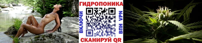 где найти наркотики  Морозовск  МАРИХУАНА OG Kush 